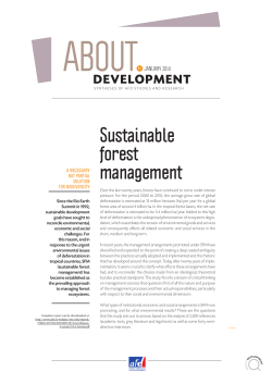 About Development n&deg;01 | Sustainable forest management