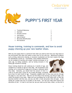 Puppy Care - Cedarview Animal Hospital