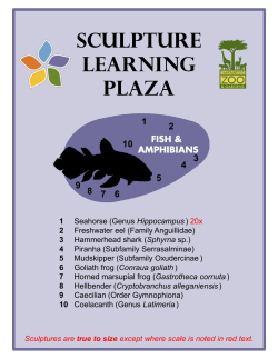 SCULPtURE LEARNiNG PLAzA