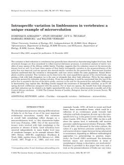 Intraspecific variation in limblessness in vertebrates