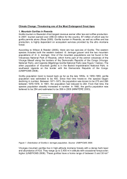 Climate Change and Mountain Gorillas in Rwanda