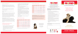 See our detailed Trophy Puppy Guide for more