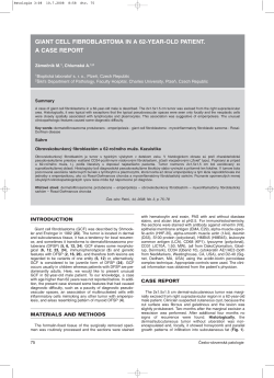 PDF (Full text) - česko