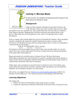 Activity 3 - Web Adventures