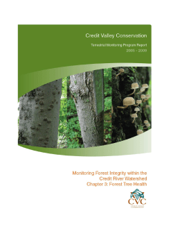 Chapter 3: Forest Tree Health