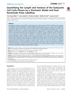 Quantifying the Length and Variance of the Eukaryotic Cell Cycle