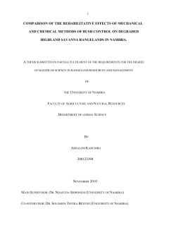 comparison of the rehabilitative effects of mechanical