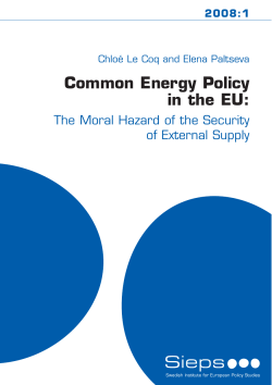 Common Energy Policy in the EU: