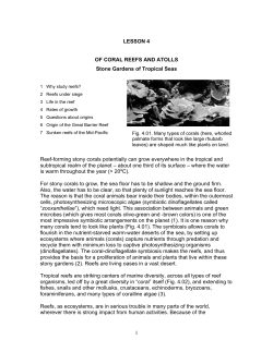 Of coral reefs and atolls