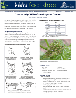 Community-Wide Grasshopper Control