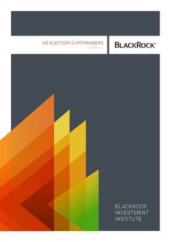 BLACKROCK INVESTMENT INSTITUTE
