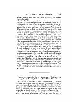 divided muscle cells and the nuclei bounding the fibrous tissue