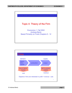 Topic 4: Theory of the Firm Firms