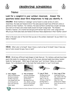 AWF Outdoor Classroom Field Journal Activity &ndash; Observing Songbirds