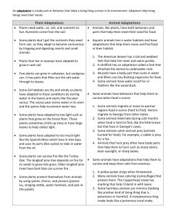 Adaptations - Our Class Web