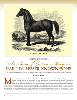 Tbe Sons of Justin Morgan - American Morgan Horse Association