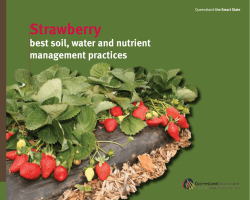 Strawberry - Healthy Waterways