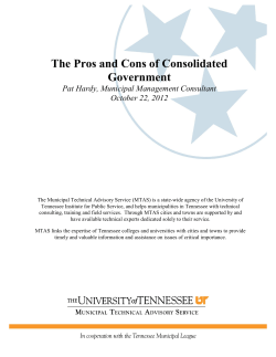 The Pros and Cons of Consolidated Government