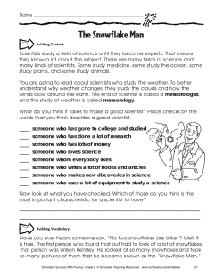 The Snowflake Man