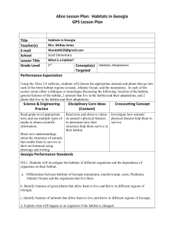 2007 GIFT Action Plan
