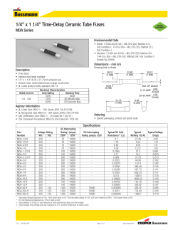 1/4&rdquo; x 1 1/4&rdquo; Time-Delay Ceramic Tube Fuses