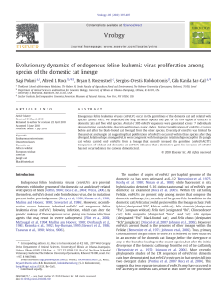 Evolutionary dynamics of endogenous feline