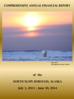 Polar Bear Photograph by John Tidwell