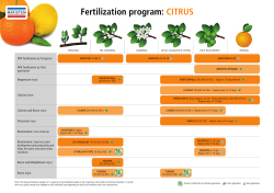 Fertilization program: CITRUS