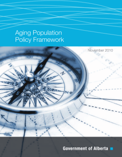 Aging Population Policy Framework