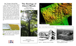 The Geology of Clara`s Woods