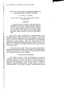 EFFECT OF WATER STRESS ON PHOTOSYNTHESIS AND WATER