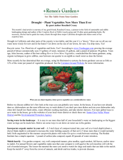 Drought &ndash; Plant Vegetables Now More Than Ever