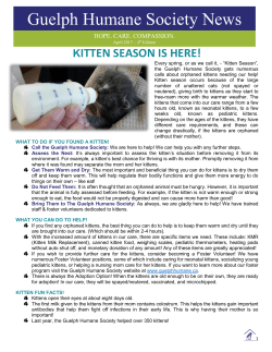 Guelph Humane Society News - the Guelph Humane Society