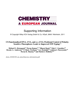 Supporting Information