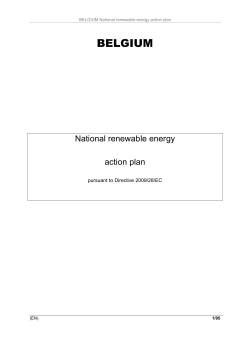 Belgium_National Renewable Energy Action Plan
