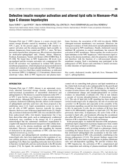 Defective insulin receptor activation and altered lipid rafts in