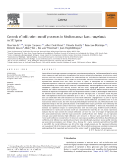 Controls of infiltration&ndash;runoff processes in