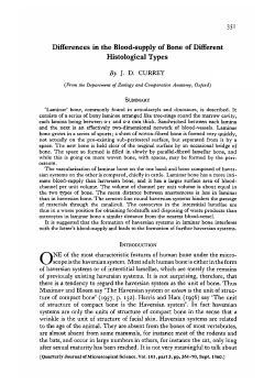 Differences in the Blood-supply of Bone of Different