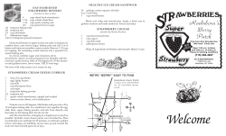 HERE - Roehrborns Berry Patch