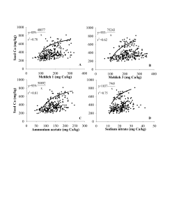 Mehlich 1 (mg Ca/kg)
