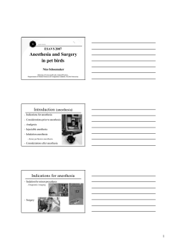 Anesthesia and Surgery in pet birds