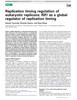 Rif1 as a global regulator of replication timing