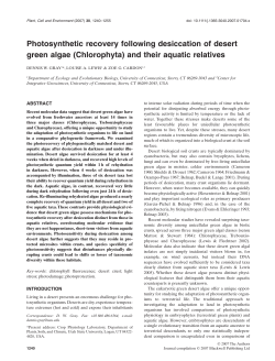 Photosynthetic recovery following desiccation of desert