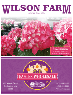 easter wholesale