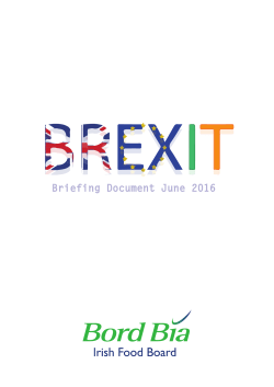 Bord Bia Brexit Briefing Document