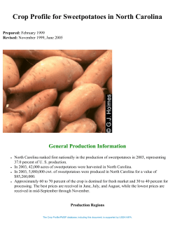 Crop Profile for Sweetpotatoes in North Carolina
