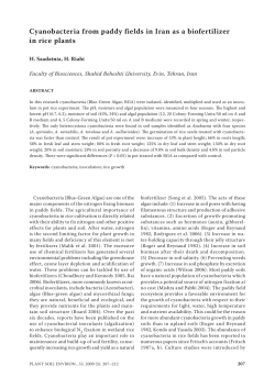 Cyanobacteria from paddy fields in Iran as a biofertilizer in rice plants