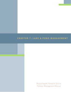 Lake and Pond Management