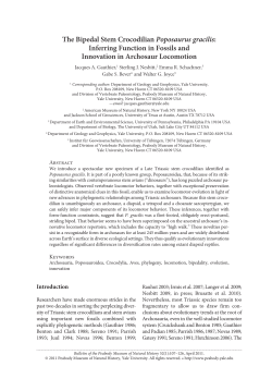 Gauthier et al &ndash; The Bipedal Stem Crocodilian Poposaurus gracilis