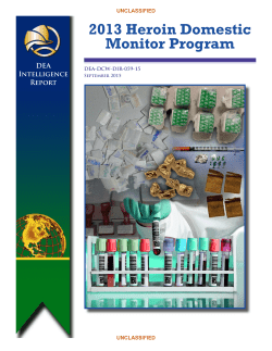 2013 Heroin Domestic Monitor Program